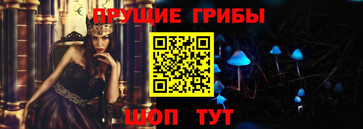 Сосновоборск  Галлюциногенные грибы прущие грибы  Вход с VPN 