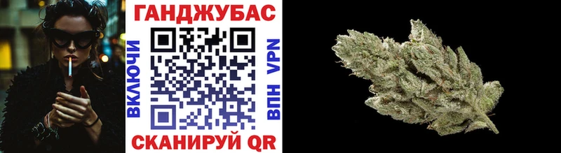 Бошки Шишки планчик  Сосновоборск 